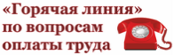 Горячая линия по вопросам оплаты труда 